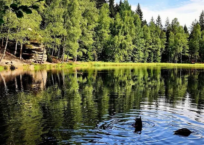 Bišík Teplice nad Metují